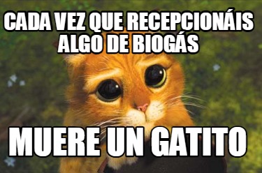 cada-vez-que-recepcionis-algo-de-biogs-muere-un-gatito