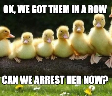 ok-we-got-them-in-a-row-can-we-arrest-her-now