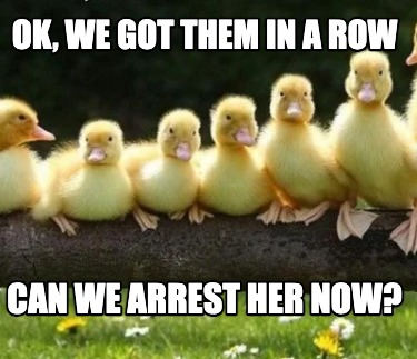 ok-we-got-them-in-a-row-can-we-arrest-her-now