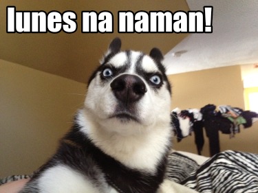 lunes-na-naman60