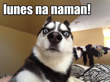 lunes-na-naman1
