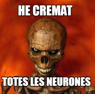 he-cremat-totes-les-neurones