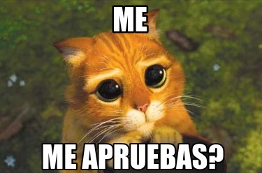 me-me-apruebas