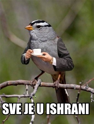 sve-je-u-ishrani