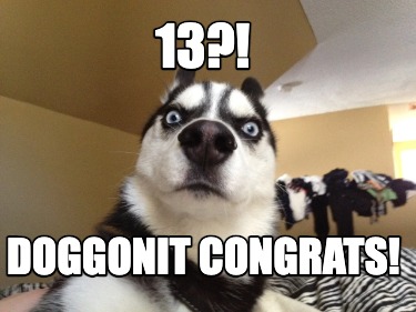 13-doggonit-congrats