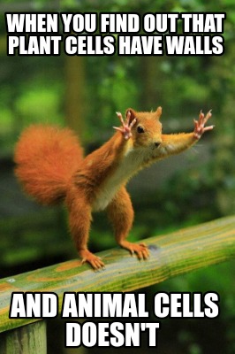 when-you-find-out-that-plant-cells-have-walls-and-animal-cells-doesnt