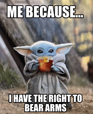 me-because...-i-have-the-right-to-bear-arms