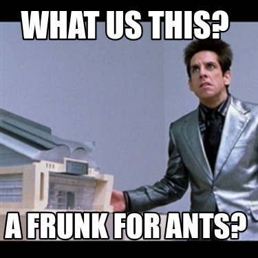 what-us-this-a-frunk-for-ants