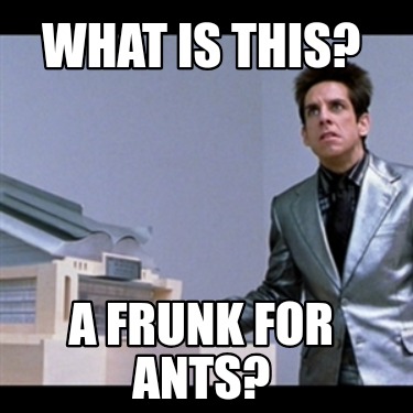 what-is-this-a-frunk-for-ants