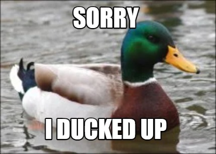 sorry-i-ducked-up