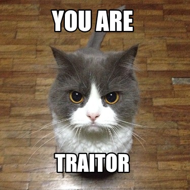 you-are-traitor9