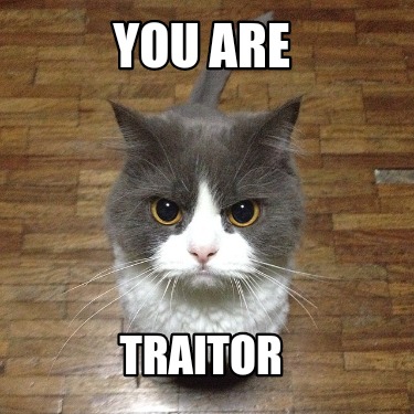 you-are-traitor9