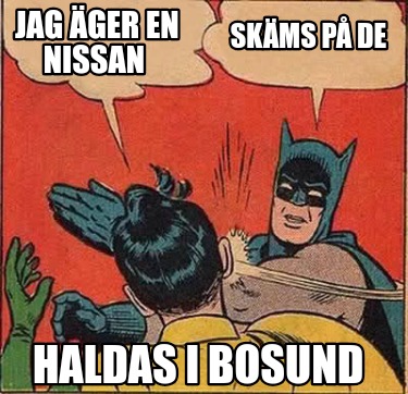 jag-ger-en-nissan-skms-p-de-haldas-i-bosund