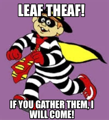 leaf-theaf-if-you-gather-them-i-will-come