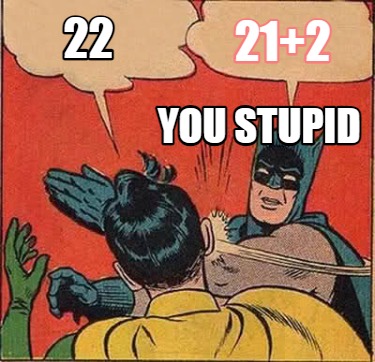 212-22-you-stupid
