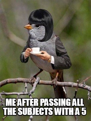 me-after-passing-all-the-subjects-with-a-56