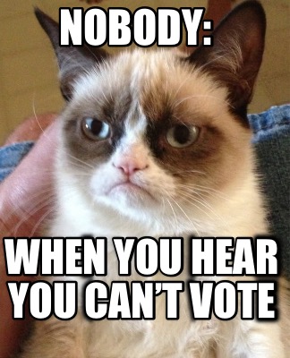 nobody-when-you-hear-you-cant-vote