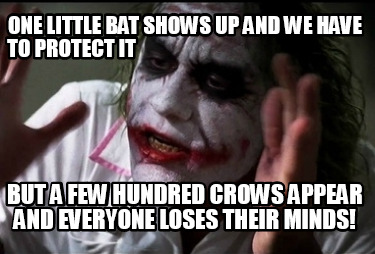 one-little-bat-shows-up-and-we-have-to-protect-it-but-a-few-hundred-crows-appear