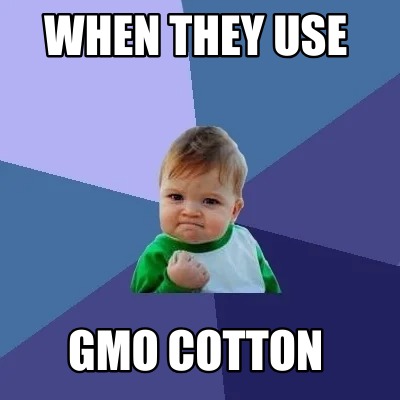 when-they-use-gmo-cotton