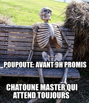 poupoute-avant-9h-promis-chatoune-master-qui-attend-toujours