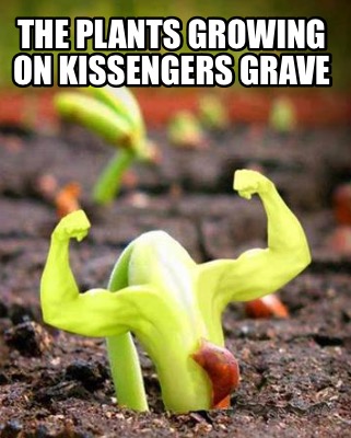 the-plants-growing-on-kissengers-grave