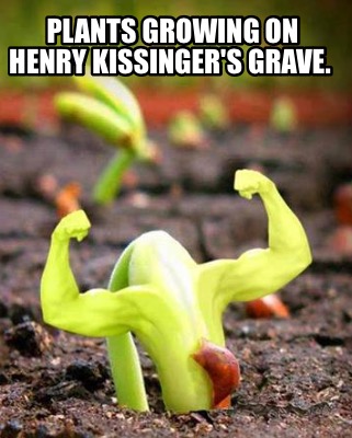 plants-growing-on-henry-kissingers-grave