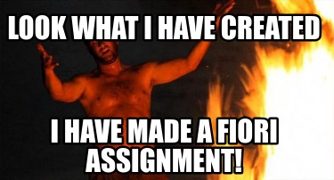 look-what-i-have-created-i-have-made-a-fiori-assignment