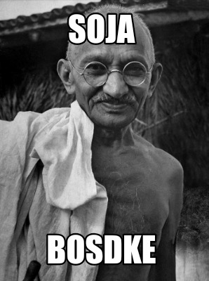 soja-bosdke