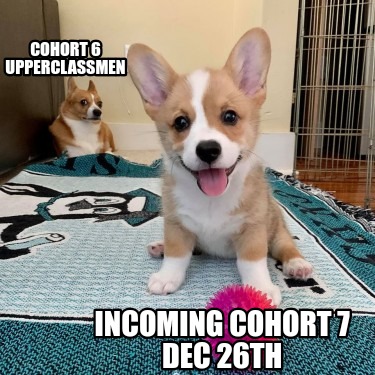 cohort-6-upperclassmen-incoming-cohort-7-dec-26th