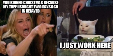 you-ruined-christmas-because-my-tree-i-bought-two-days-ago-is-delayed-i-just-wor