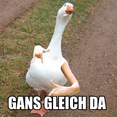 gans-gleich-da