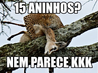 15-aninhos-nem-parece-kkk