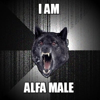 i-am-alfa-male