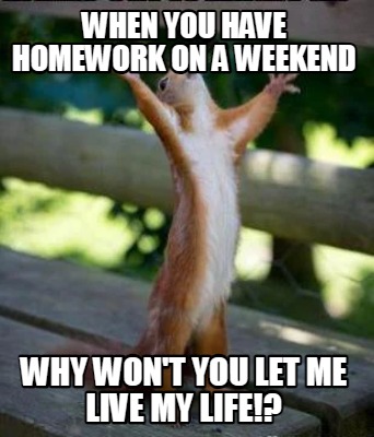 when-you-have-homework-on-a-weekend-why-wont-you-let-me-live-my-life