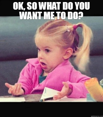 ok-so-what-do-you-want-me-to-do