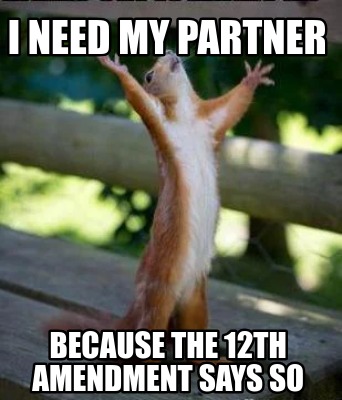 i-need-my-partner-because-the-12th-amendment-says-so