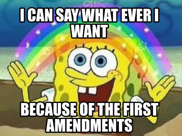 i-can-say-what-ever-i-want-because-of-the-first-amendments