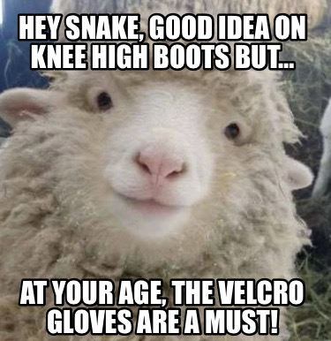 hey-snake-good-idea-on-knee-high-boots-but-at-your-age-the-velcro-gloves-are-a-m
