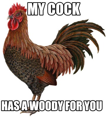 my-cock-has-a-woody-for-you