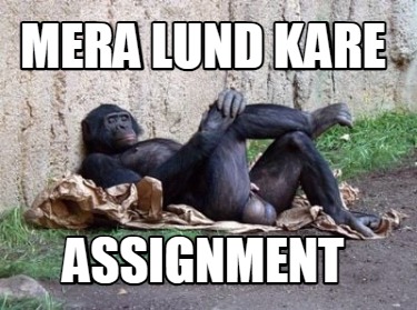 mera-lund-kare-assignment6