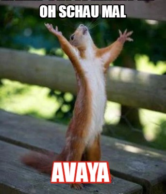 oh-schau-mal-avaya