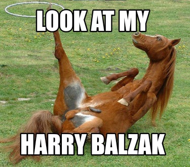 look-at-my-harry-balzak