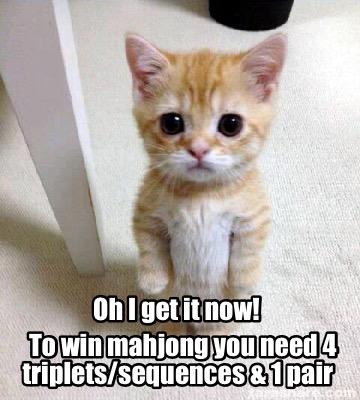 oh-i-get-it-now-to-win-mahjong-you-need-4-tripletssequences-1-pair