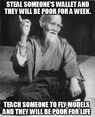 steal-someones-wallet-and-they-will-be-poor-for-a-week.-teach-someone-to-fly-mod