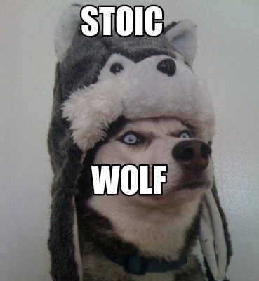 stoic-wolf