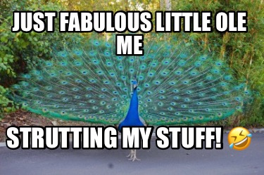 just-fabulous-little-ole-me-strutting-my-stuff-