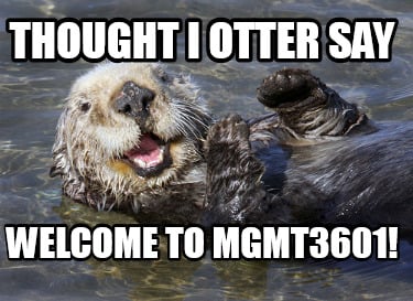 thought-i-otter-say-welcome-to-mgmt3601