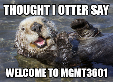 thought-i-otter-say-welcome-to-mgmt36017