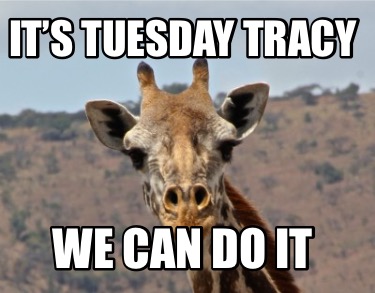 its-tuesday-tracy-we-can-do-it