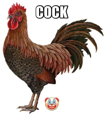 cock-